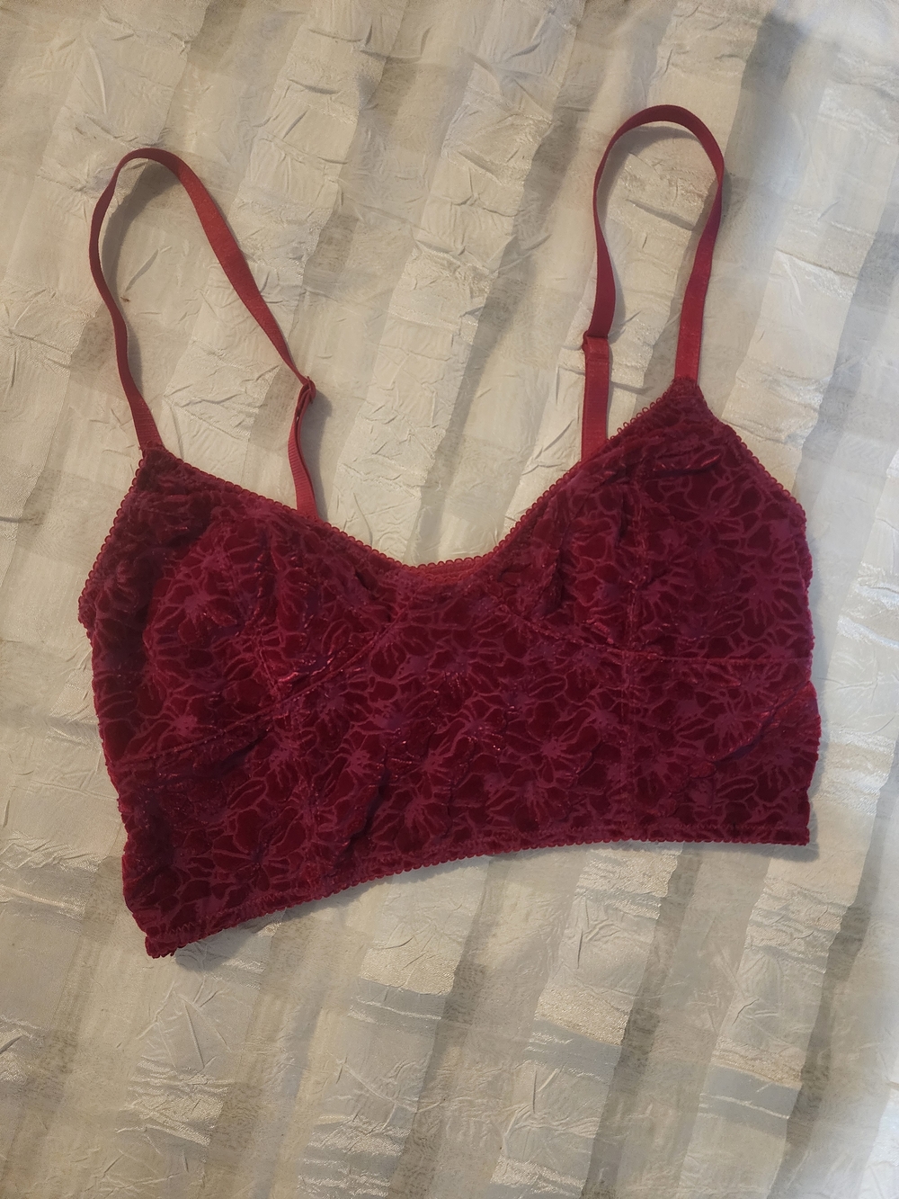 Free People Velvet Floral Lace Bralette in Deep Wine